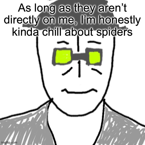 Massive? | As long as they aren’t directly on me, I’m honestly kinda chill about spiders | image tagged in massive | made w/ Imgflip meme maker