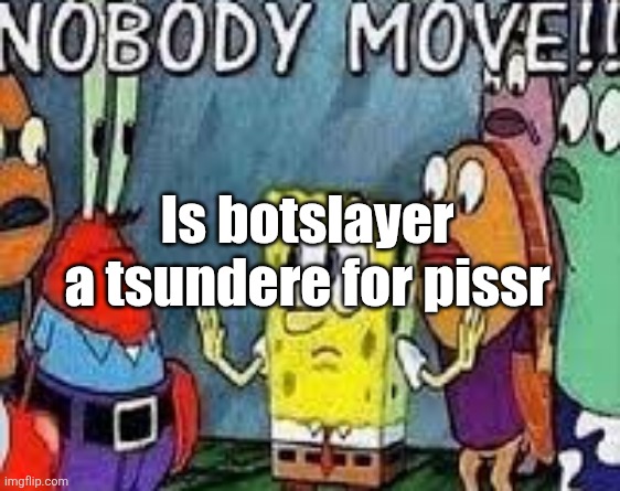 NOBODY MOVE!! | Is botslayer a tsundere for pissr | image tagged in nobody move | made w/ Imgflip meme maker