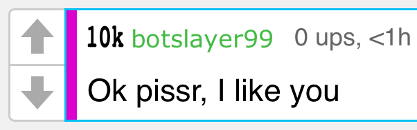 use this when botslayer is online Blank Meme Template