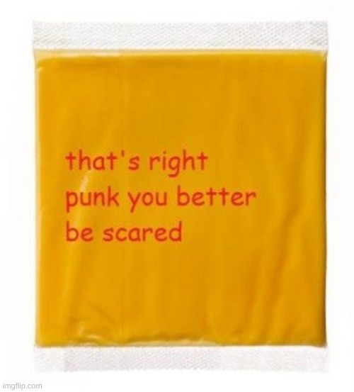 that's right punk you better be scared cheese | image tagged in that's right punk you better be scared cheese | made w/ Imgflip meme maker