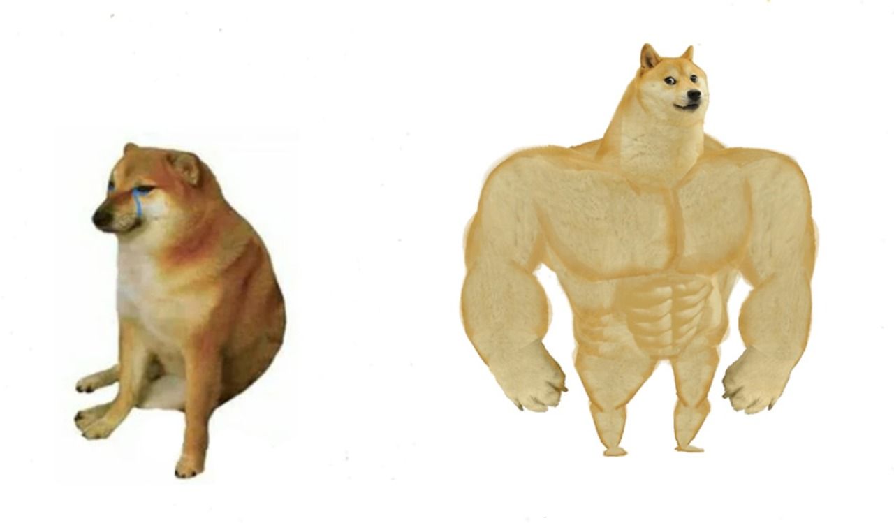 Cheems & buff doge (reversed) Blank Meme Template