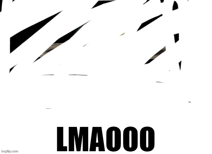 Bruh who tf are you LMAOOO | image tagged in bruh who tf are you lmaooo | made w/ Imgflip meme maker