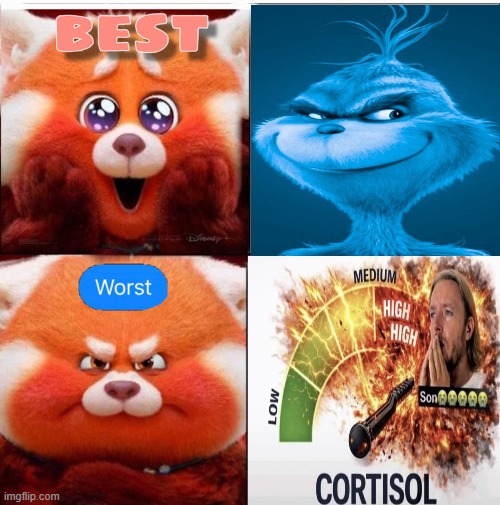 Ruin This Fill In Meme!!!!!!!!!!!!!!!!!!!!!!!!!!!!!!!!!!!!! #581 | image tagged in ruin this fill in meme 581 | made w/ Imgflip meme maker