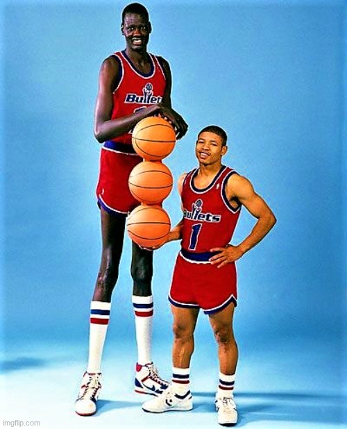 Manute Bol and Muggsy Bogues | image tagged in manute bol and muggsy bogues | made w/ Imgflip meme maker