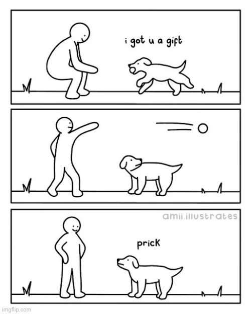 Gift | image tagged in gift,dogs,dog,fetch,comics,comics/cartoons | made w/ Imgflip meme maker