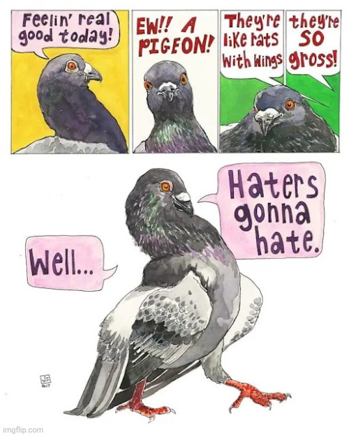 Pigeon | image tagged in pigeon,pigeons,birds,bird,comics,comics/cartoons | made w/ Imgflip meme maker