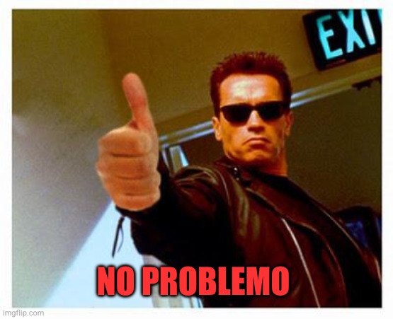 No problemo | image tagged in terminator thumbs up | made w/ Imgflip meme maker
