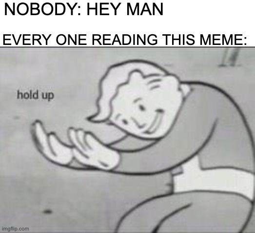 how the turn tables | nobody: hey man; every one reading this meme: | image tagged in fallout hold up,nobody | made w/ Imgflip meme maker