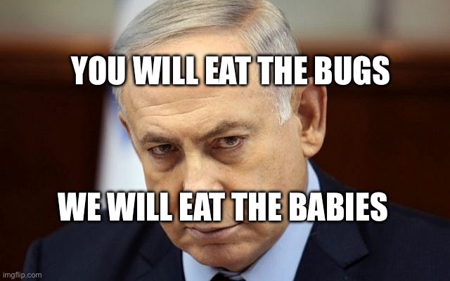 Evil Netanyahu | You will eat the bugs; We will eat the babies | image tagged in evil netanyahu | made w/ Imgflip meme maker
