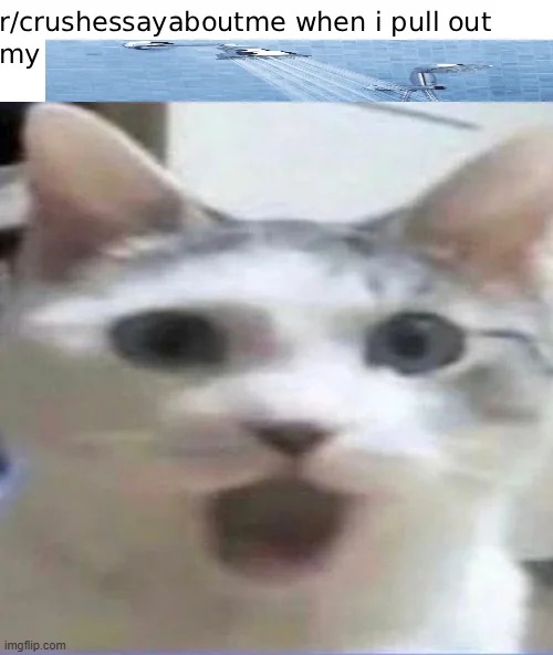 reddit memes in my msmg? YOU MUST DIE! | image tagged in memes,funny,reddit,msmg,front page probably | made w/ Imgflip meme maker