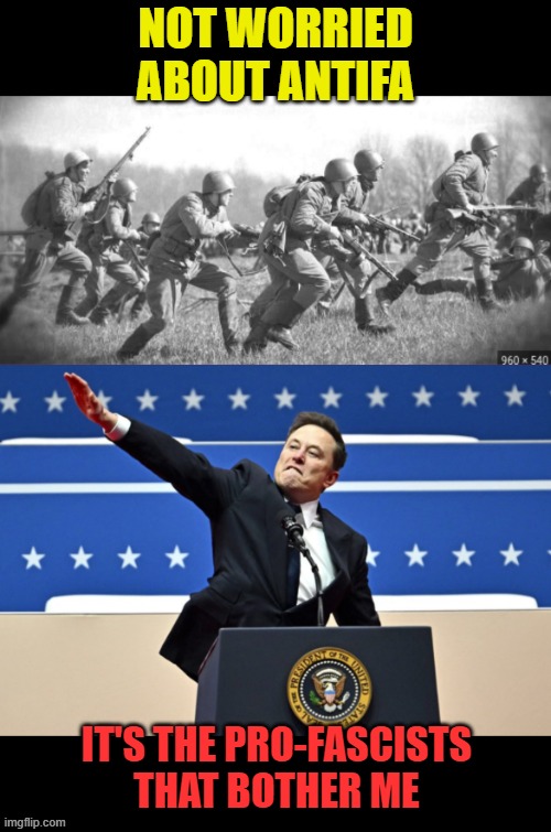 Antifa vs. pro-fascists | not worried
about antifa; it's the pro-fascists
that bother me | image tagged in world war ii,nazi elon | made w/ Imgflip meme maker