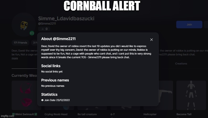 bro is not doing nuthing 1233 | CORNBALL ALERT | image tagged in roblox,special kind of stupid | made w/ Imgflip meme maker