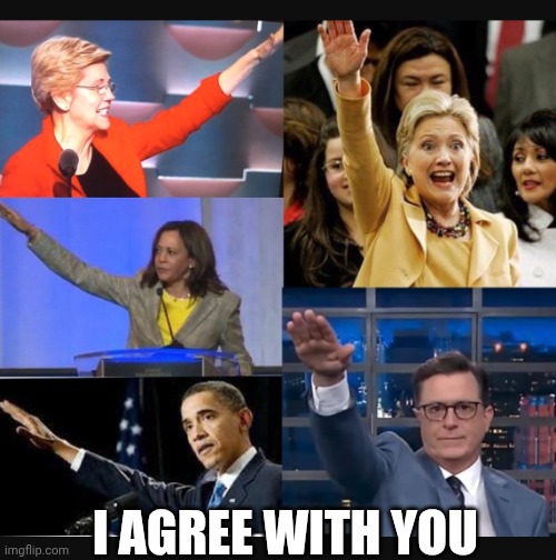 Democrats giving ''Nazi salutes'' | I agree with you | image tagged in democrats giving ''nazi salutes'' | made w/ Imgflip meme maker