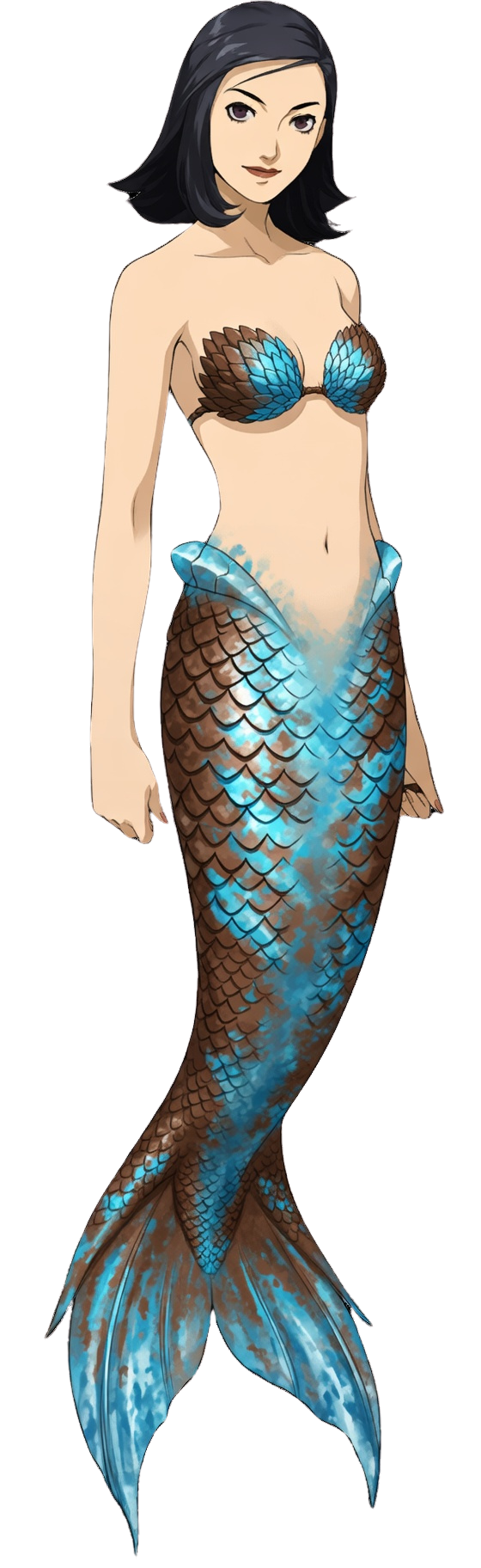 Kota Blank Meme Template