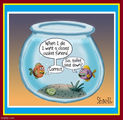 Tropical Fish are more picky than goldfish | image tagged in vince vance,goldfish,aquarium,cartoons,tropical fish,funeral | made w/ Imgflip meme maker