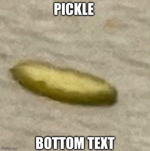 Found a pickle on the floor | image tagged in pickle | made w/ Imgflip meme maker