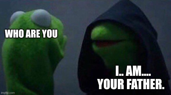 kermit me to me | who are you; I.. am.... your father. | image tagged in kermit me to me | made w/ Imgflip meme maker