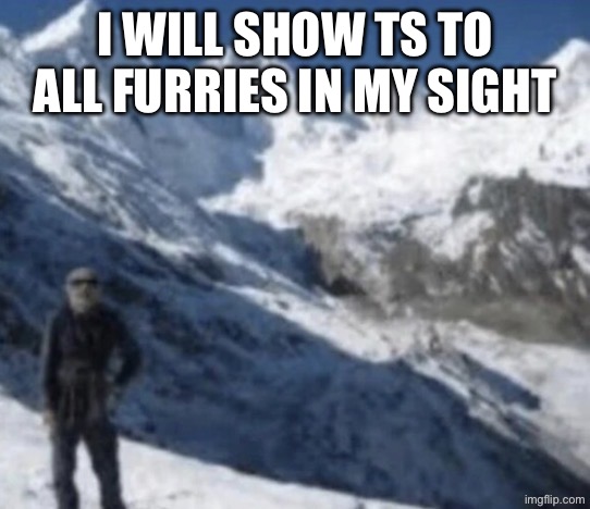 ONE PIXEL | I will show ts to all furries in my sight | image tagged in one pixel | made w/ Imgflip meme maker