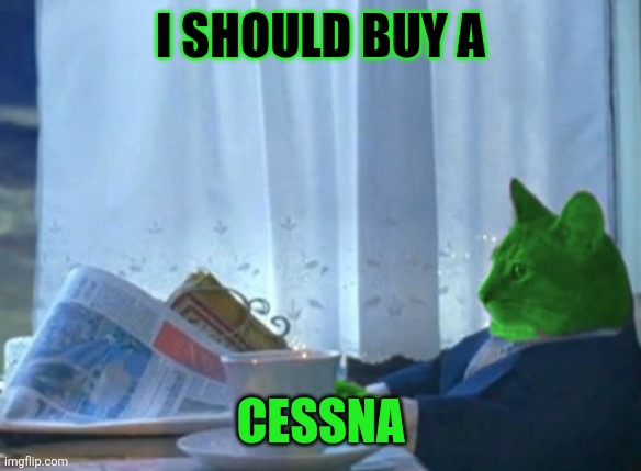 I should buy a Cessna | image tagged in i should buy a boat raycat | made w/ Imgflip meme maker