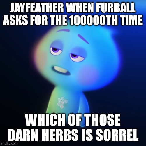"This one's dock leaf isn't it? Oh... no... tansy. And this--don't tell me--catmint!" (It's sorrel) | Jayfeather when furball asks for the 100000th time; which of those darn herbs is sorrel | image tagged in 22 soul bored | made w/ Imgflip meme maker