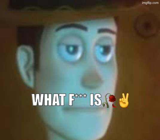 disappointed woody | What f*** is?✌️ | image tagged in disappointed woody | made w/ Imgflip meme maker