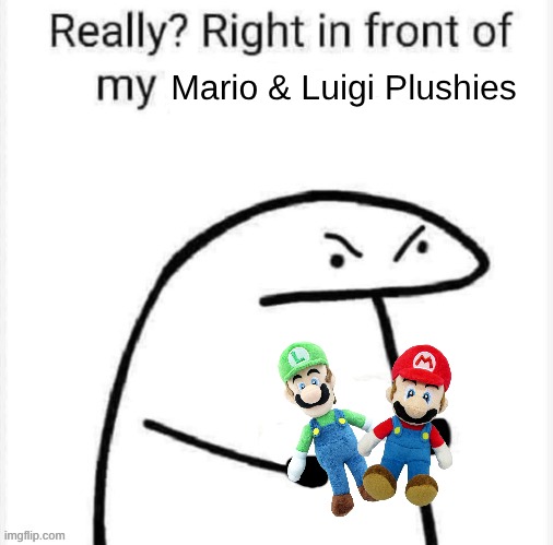 Really? Right in front of my | Mario & Luigi Plushies | image tagged in really right in front of my | made w/ Imgflip meme maker