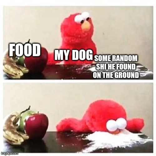 why | Food; My dog; some random shi he found on the ground | image tagged in elmo cocaine,dog,elmo | made w/ Imgflip meme maker