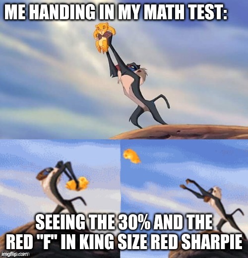 Lion King meme | me handing in my math test:; seeing the 30% and the Red "F" in king size red sharpie | image tagged in simba rafiki lion king | made w/ Imgflip meme maker