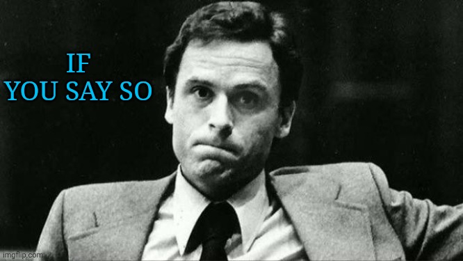 Ted bundy | If you say so | image tagged in ted bundy | made w/ Imgflip meme maker