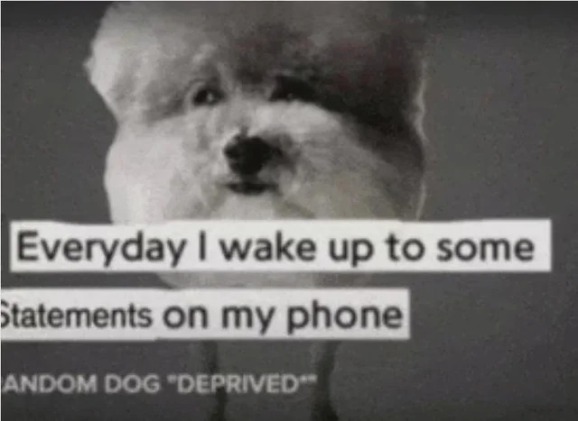Everyday I wake up to some statements on my phone Blank Meme Template