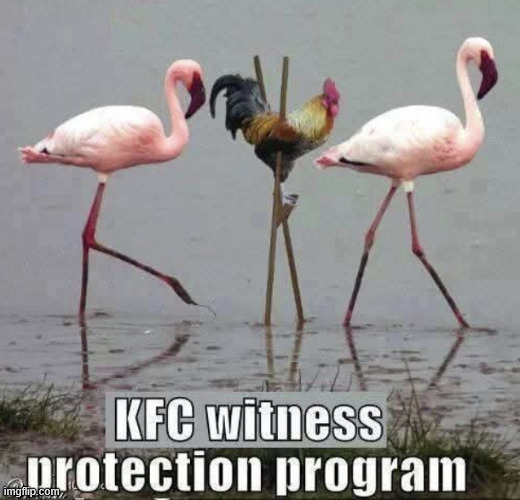 Witness protection | image tagged in repost,witness protection | made w/ Imgflip meme maker