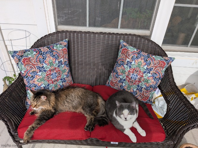 PXL_20260413_150830846.jpg | image tagged in pxl_20260413_150830846 jpg | made w/ Imgflip meme maker