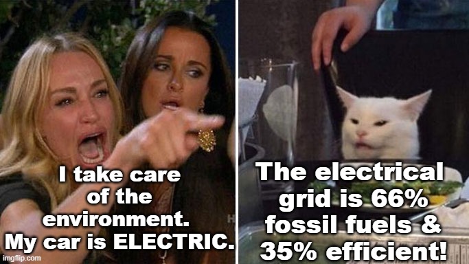 Electric cars are fossil fuel cars. | I take care
of the
environment. 
My car is ELECTRIC. The electrical 
grid is 66%
fossil fuels &
35% efficient! | image tagged in angry lady cat,pchem,thermo,electric grid,fossil fuel | made w/ Imgflip meme maker
