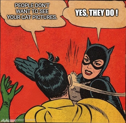 Catwoman Slaps Robin | People don't want to see your cat pictures. Yes, they do ! | image tagged in catwoman slaps robin | made w/ Imgflip meme maker