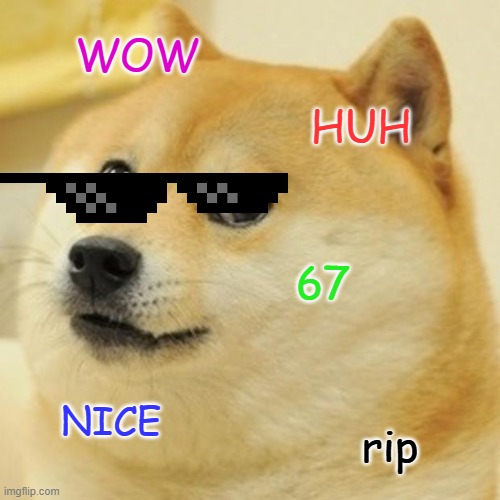 Doge Meme | WOW; HUH; 67; NICE; rip | image tagged in memes,doge | made w/ Imgflip meme maker