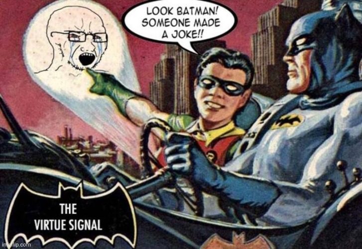 Batman & Robin vs the Wokester | image tagged in img - 2024-11-10t031056 650 jpeg,batman,robin | made w/ Imgflip meme maker
