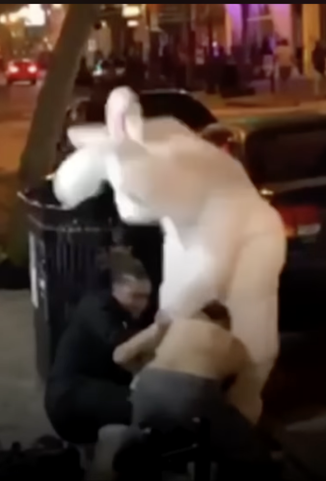 Easter Bunny Beat Down Blank Meme Template