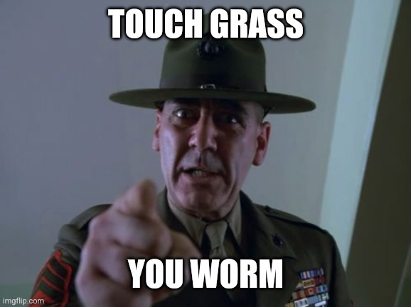 Sergeant Hartmann Meme | Touch grass You worm | image tagged in memes,sergeant hartmann | made w/ Imgflip meme maker