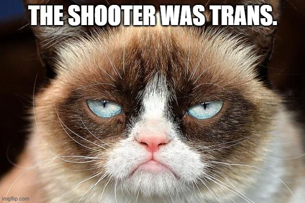 The shooter was Trans. | image tagged in memes,grumpy cat not amused,grumpy cat | made w/ Imgflip meme maker