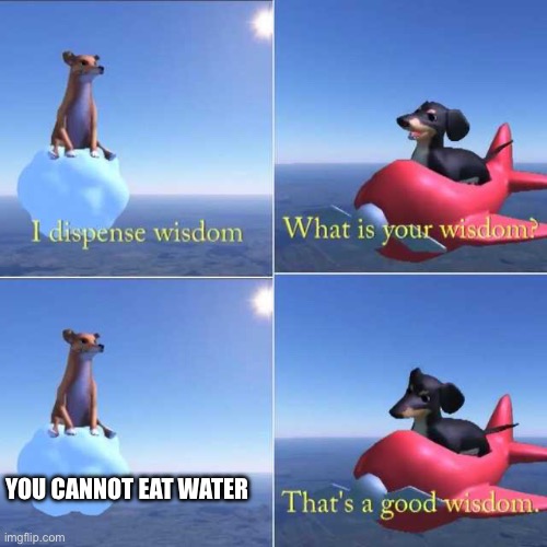 You cannot drink food. Let thank sink in. | You cannot eat water | image tagged in wisdom dog | made w/ Imgflip meme maker
