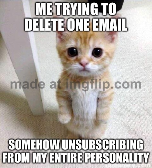 ME TRYING TO DELETE ONE EMAIL; SOMEHOW UNSUBSCRIBING FROM MY ENTIRE PERSONALITY | ME TRYING TO DELETE ONE EMAIL; SOMEHOW UNSUBSCRIBING FROM MY ENTIRE PERSONALITY | image tagged in memes,cute cat,remix,personality,email,unsubscribe | made w/ Imgflip meme maker