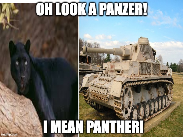 mistake | oh look a panzer! i mean panther! | image tagged in animals,tanks | made w/ Imgflip meme maker