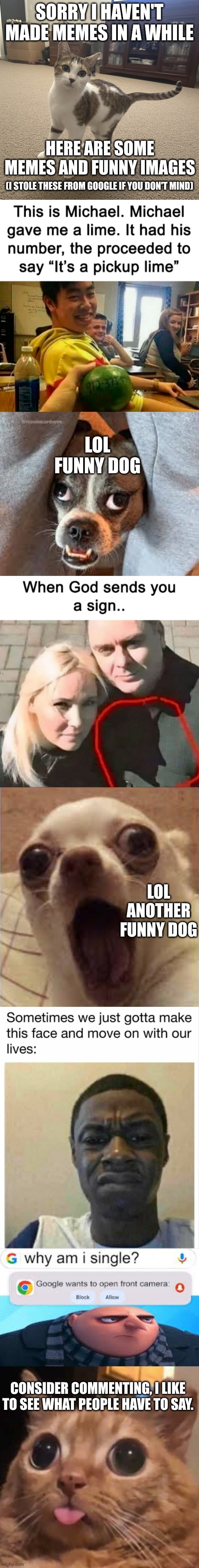 Hello! your reading this title? Cool, but why are you reading this rn tho? | sorry i haven't made memes in a while; here are some memes and funny images; (i stole these from google if you don't mind); lol funny dog; lol another funny dog; Consider commenting, I like to see what people have to say. | image tagged in funny,memes,funny memes,imgflip,lol,cool memes | made w/ Imgflip meme maker