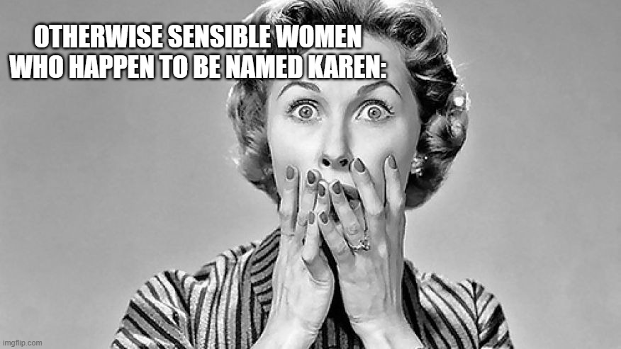 Shocked Woman | otherwise sensible women who happen to be named Karen: | image tagged in shocked woman | made w/ Imgflip meme maker