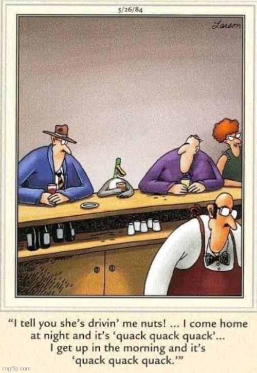 He knew she was like that when he married her… | image tagged in the far side,comics,bar,duck,driving me nuts,quack quack quack | made w/ Imgflip meme maker