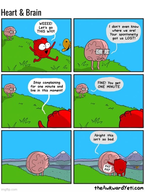 Spontaneity | Heart & Brain | image tagged in comics,the awkward yeti,heart and brain,spontaneity,live in the moment,not so bad | made w/ Imgflip meme maker
