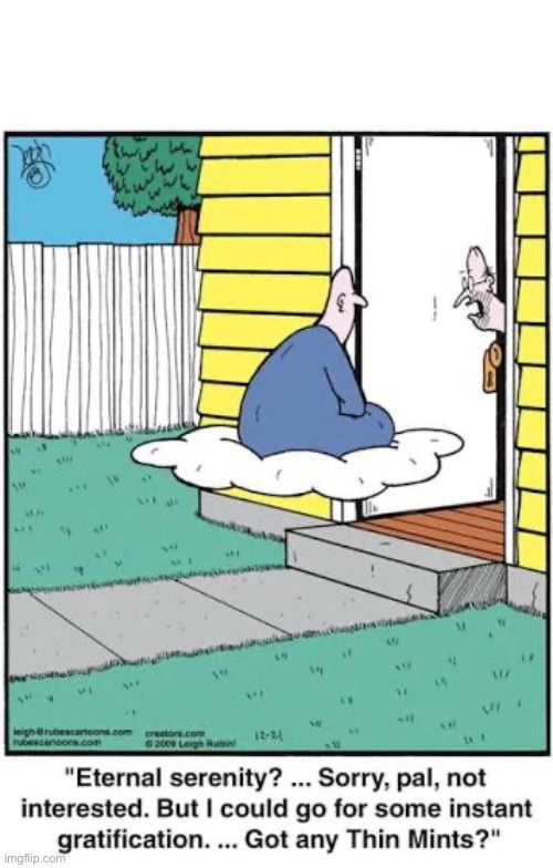 Rubes | image tagged in comics,rubes,swami,eternal serenity,instant gratification,thin mints | made w/ Imgflip meme maker