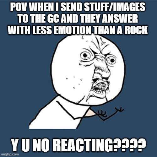 Am I the only one that hates when it happens? | Pov when i send stuff/images to the gc and they answer with less emotion than a rock; y u no reacting???? | image tagged in memes,y u no | made w/ Imgflip meme maker