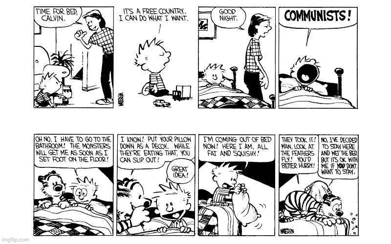 image tagged in calvin and hobbes,comics | made w/ Imgflip meme maker