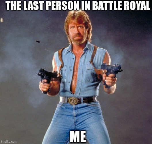Chuck Norris Guns Meme | The last person in battle royal; Me | image tagged in memes,chuck norris guns,chuck norris | made w/ Imgflip meme maker